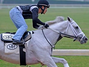 Hansen Picks Up Training for Blue Grass Start Hansen Picks Up Training for Blue Grass Start