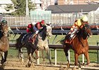 Wine Princess pulls away from the pack to win the Falls City Handicap.