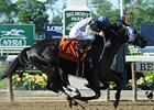 Sahara Sky wins the Metropolitan Handicap.
<br><a target="blank" href="http://photos.bloodhorse.com/AtTheRaces-1/at-the-races-2013/27257665_QgCqdh#!i=2538320886&k=9SvxRx5">Order This Photo</a>