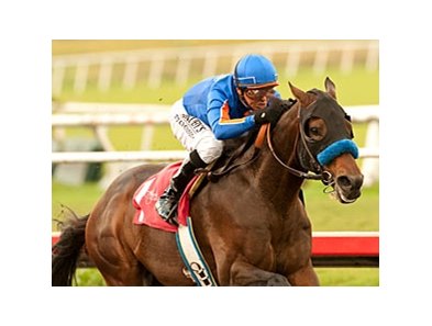 Game On Dude won the Native Diver Handicap on Dec. 1, his most recent start.