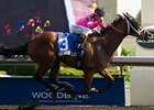 Sisterly Love cruises to victory in the Ontario Matron Stakes.
