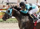 Another Romance is one of the broodmare prospects added to Fasig-Tipton's Feb. 11 Kentucky winter mixed sale.