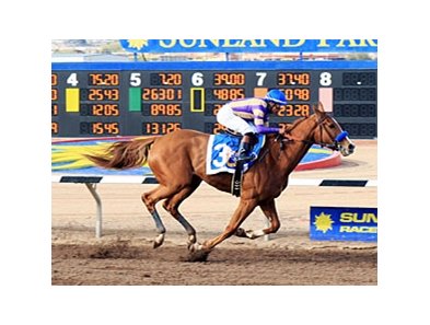 Princess Arabella wins The Sunland Park Oaks.