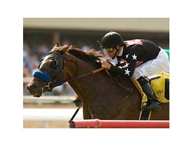 Warning Zone win in the July 13 Sunset Breeders' Cup Handicap (gr. IIT) was his third victory over the Hollywood Park Turf course. <br><a target="blank" href="http://www.bloodhorse.com/horse-racing/photo-store?ref=http%3A%2F%2Fpictopia.com%2Fperl%2Fgal%3Fprovider_id%3D368%26ptp_photo_id%3D5116195%0D%0A%26ref%3Dstory">Order This Photo</a>