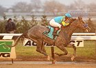 El Kabeir takes on 6 in the Withers.<br><a target="blank" href="http://photos.bloodhorse.com/AtTheRaces-1/At-the-Races-2015/i-ZpmVDJ3">Order This Photo</a>