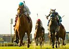 Shoemaker Mile winner Daytona looks for seventh win in eight starts in the American Invitational Handicap.<br><a target="blank" href="http://www.bloodhorse.com/horse-racing/photo-store?ref=http%3A%2F%2Fpictopia.com%2Fperl%2Fgal%3Fprovider_id%3D368%26ptp_photo_id%3D4648691%26ref%3Dstory">Order This Photo</a>