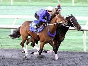 Three Blue Grass Hopefuls Work at Keeneland Three Blue Grass Hopefuls Work at Keeneland