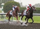 Smarty Jones (left) finished 2nd in the Dixiana Breeders' Futurity.<br><a target="blank" href="http://photos.bloodhorse.com/AtTheRaces-1/at-the-races-2013/27257665_QgCqdh#!i=2812673904&k=ZJFcdDS">Order This Photo</a>
