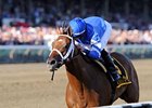 Questing showed a liking for dirt in 2012.<br><a target="blank" href="http://photos.bloodhorse.com/AtTheRaces-1/at-the-races-2012/22274956_jFd5jM#!i=2033171428&k=PLGqhhN">Order This Photo</a>