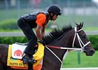 Pants On Fire takes on 5 in the Pegasus Stakes at Monmouth.<br><a target="blank" href="http://www.bloodhorse.com/horse-racing/photo-store?ref=http%3A%2F%2Fpictopia.com%2Fperl%2Fgal%3Fprovider_id%3D368%26ptp_photo_id%3D9504916%26ref%3Dstory">Order This Photo</a>