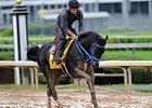 Decisive Moment<br><a target="blank" href="http://www.bloodhorse.com/horse-racing/photo-store?ref=http%3A%2F%2Fpictopia.com%2Fperl%2Fgal%3Fprovider_id%3D368%26ptp_photo_id%3D9512311%26ref%3Dstory">Order This Photo</a>