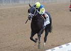 Shanghai Bobby<br><a target="blank" href="http://photos.bloodhorse.com/AtTheRaces-1/at-the-races-2012/22274956_jFd5jM#!i=2133401086&k=rBS5Mbx">Order This Photo</a>