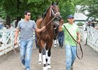 Sweet Whiskey schooling at Saratoga on August 29.<br><a target="blank" href="http://photos.bloodhorse.com/AtTheRaces-1/at-the-races-2013/27257665_QgCqdh#!i=2731813896&k=kFGvS8k">Order This Photo</a>