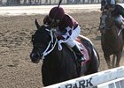 Tizway racing in the Metropolitan Handicap.