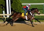 Papa Clem works 7 furlongs on April 25 in preparation for the Kentucky Derby.<br><a target="blank" href="http://www.bloodhorse.com/horse-racing/photo-store?ref=http%3A%2F%2Fpictopia.com%2Fperl%2Fgal%3Fprovider_id%3D368%26ptp_photo_id%3D8040105%26ref%3Dstory">Order This Photo</a>