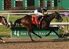 Silverbulletday winner Indian Blessing makes her highly-anticipated return in the Acorn.