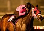 Comma to the Top won the 2010 CashCall Futurity.<br><a target="blank" href="http://www.bloodhorse.com/horse-racing/photo-store?ref=http%3A%2F%2Fpictopia.com%2Fperl%2Fgal%3Fprovider_id%3D368%26ptp_photo_id%3D9334968%26ref%3Dstory">Order This Photo</a>