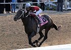 Pyro, winner of the Risen Star (gr. III) at Fair Grounds, tops a strong list of Toyota Blue Grass (gr. I) nominees.