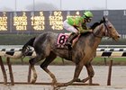 Dry Martini takes control late in the Stuyvesant Handicap.<br><a target="blank" href="http://www.bloodhorse.com/horse-racing/photo-store?ref=http%3A%2F%2Fpictopia.com%2Fperl%2Fgal%3Fprovider_id%3D368%26ptp_photo_id%3D6743244%26ref%3Dstory">Order This Photo</a>