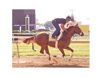 I'll Have Another galloping at Pimlico on May 12.