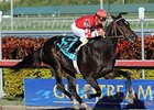Determinato and Eibar Coa upset the Spectacular Bid.
<br><a target="blank" href="http://www.bloodhorse.com/horse-racing/photo-store?ref=http%3A%2F%2Fpictopia.com%2Fperl%2Fgal%3Fprovider_id%3D368%26ptp_photo_id%3D9361343%26ref%3Dstory">Order This Photo</a>