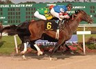 Tampa Bay Derby (gr. III) winner Big Truck is finally turning top works into wins.