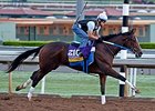 Asmussen Aims to Make Untapable Feel at Home Asmussen Aims to Make Untapable Feel at Home