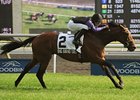 Big Band Sound powers home to win the Play the King Stakes.