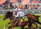 Wigmore Hall makes his seasonal debut in the Jebel Hatta.