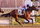 Brigand won the 2012 City of Laurel Stakes at Laurel Park.
