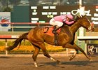 Washington Bridge, who won the Bayakoa in 2010, is one of 2 runners for trainer Jerry Hollendorfer in this year's race.