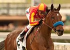 Fiftyshadesofhay won the 2013 Santa Ysabel.