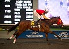 Up With the Birds has won three races in a row.