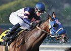La Mina is one of the many 3-year-old fillies with an opportunity for their first graded stakes victory of the year in the La Habra Stakes.