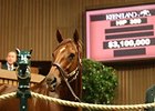 Champion and two-time Breeders' Cup winner Groupie Doll brought a session-topping $3.1 million bid.