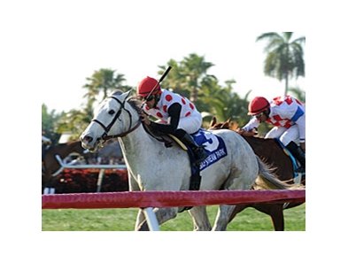 Za Approval delivers in the Appleton at Gulfstream.<br><a target="blank" href="http://photos.bloodhorse.com/AtTheRaces-1/at-the-races-2013/27257665_QgCqdh#!i=2433242745&k=SrbJJLq">Order This Photo</a>