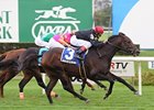 Boisterous gets up late to win the Knickerbocker.<br><a target="blank" href="http://www.bloodhorse.com/horse-racing/photo-store?ref=http%3A%2F%2Fpictopia.com%2Fperl%2Fgal%3Fprovider_id%3D368%26ptp_photo_id%3D9708594%26ref%3Dstory">Order This Photo</a>