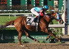 Candy Ball and Miguel Mena cruise to victory in the Bayou Breeders' Cup Handicap.