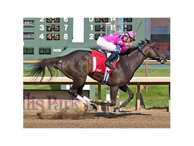 Salty Strike leads them home in the Gardenia.