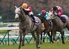 Gold Ship Sails to Classic Win at Nakayama Gold Ship Sails to Classic Win at Nakayama