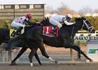 Leah's Secret outfinishes Slewfoundmoney to take the Top Fight Handicap.<br><a target="blank" href="http://www.bloodhorse.com/horse-racing/photo-store?ref=http%3A%2F%2Fpictopia.com%2Fperl%2Fgal%3Fprovider_id%3D368%26ptp_photo_id%3D6886700%26ref%3Dstory">Order This Photo</a>