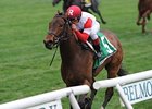 Bobby's Kitten won the Pilgrim Stakes Oct. 6 by 6 1/4 lengths.<br><a target="blank" href="http://photos.bloodhorse.com/AtTheRaces-1/at-the-races-2013/27257665_QgCqdh#!i=2815276212&k=zCg6mtK">Order This Photo</a>