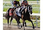 Proud Spell is now a top Kentucky Oaks contender after winning the Fair Grounds Oaks.<br><a target="blank" href="http://www.bloodhorse.com/horse-racing/photo-store?ref=http%3A%2F%2Fpictopia.com%2Fperl%2Fgal%3Fprovider_id%3D368%26ptp_photo_id%3D3811576%26ref%3Dstory">Order This Photo</a>