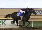 She's All In finished her career in the 2013 Oklahoma Classics Distaff.