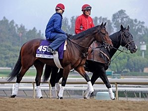 Turf Entrants Get Work Over Santa Anita Lawn Turf Entrants Get Work Over Santa Anita Lawn