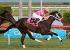 In the Rough registered her first stakes win in the Coconut Grove over the Gulfstream Park turf.<br><a target="blank" href="http://www.bloodhorse.com/horse-racing/photo-store?ref=http%3A%2F%2Fpictopia.com%2Fperl%2Fgal%3Fprovider_id%3D368%26ptp_photo_id%3D8793581%26ref%3Dstory">Order This Photo</a>