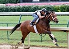 Mine That Bird zipped five furlongs in :59 2/5 over a muddy track at Churchill Downs on June 28.