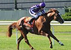 Cape Blanco powers home in the Man o' War.<br><a target="blank" href="http://www.bloodhorse.com/horse-racing/photo-store?ref=http%3A%2F%2Fpictopia.com%2Fperl%2Fgal%3Fprovider_id%3D368%26ptp_photo_id%3D9590952%26ref%3Dstory">Order This Photo</a>
