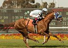 Dhaamer won the May 13 Round Table Stakes by 4 1/2 lengths.