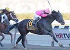 Swagger Jack
<br><a target="blank" href="http://photos.bloodhorse.com/AtTheRaces-1/at-the-races-2013/27257665_QgCqdh#!i=2443894956&k=db8qWbg">Order This Photo</a>